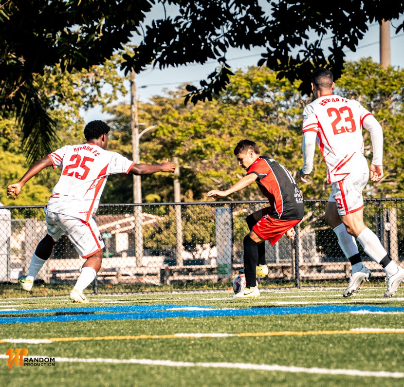 Highlight 6